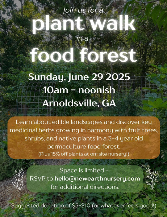 June 2025 Plant Walk